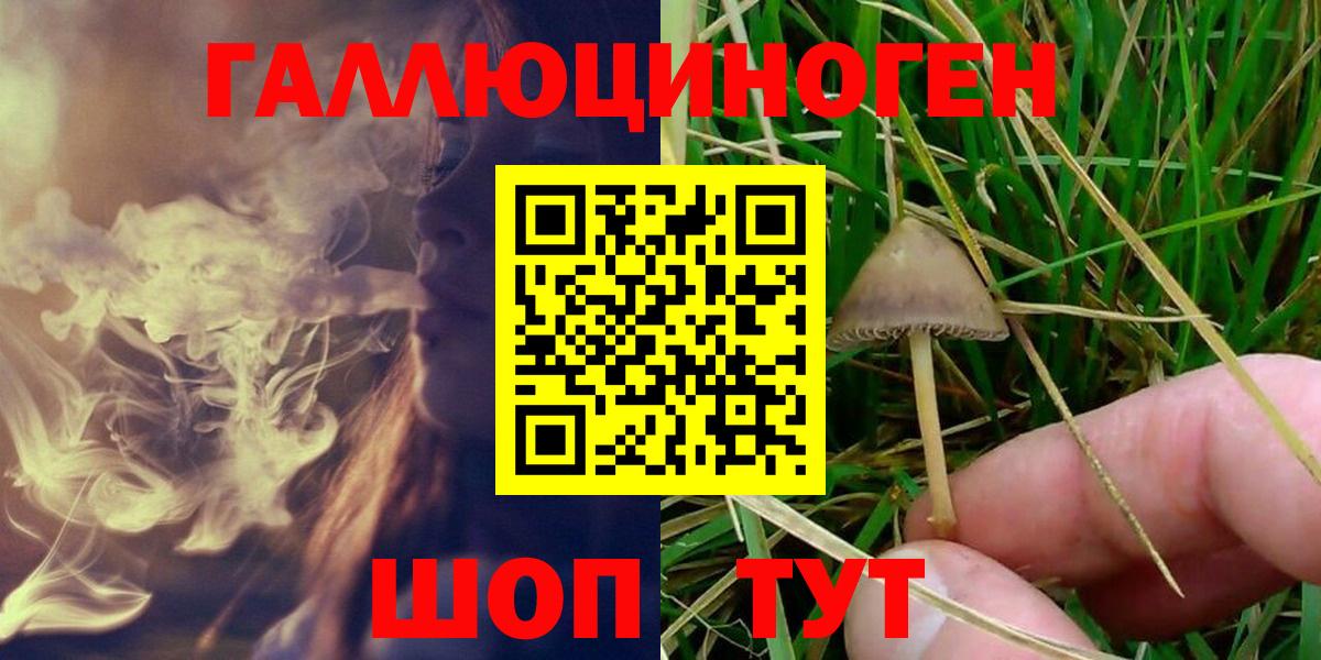 Псилоцибиновые грибы GOLDEN TEACHER  Вход с VPN  Валуйки  Псилоцибиновые грибы Cubensis 
